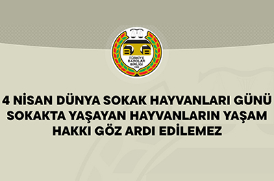 hayvan