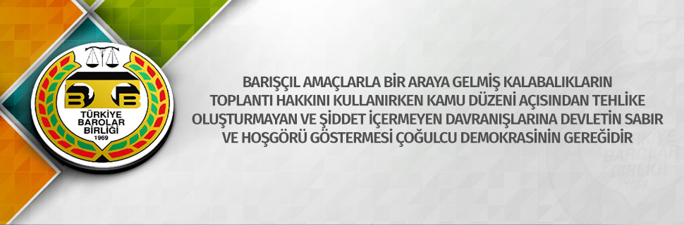 insan