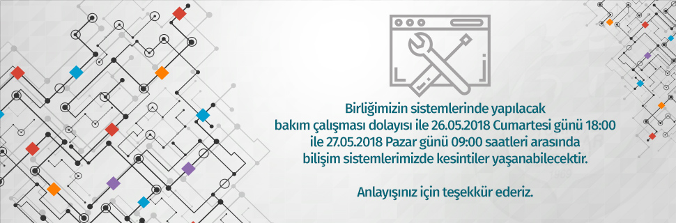 Bakım Çalışması