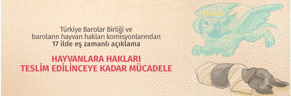 HAYVANLARA HAKLARI TESLİM EDİLİNCEYE KADAR MÜCADELE