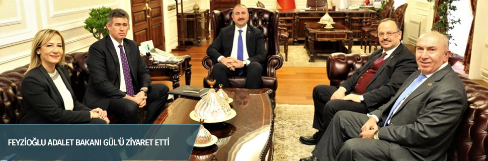 FEYZİOĞLU ADALET BAKANI GÜL'Ü ZİYARET ETTİ