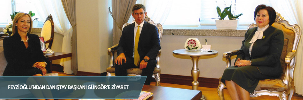 FEYZİOĞLU’NDAN DANIŞTAY BAŞKANI GÜNGÖR’E ZİYARET