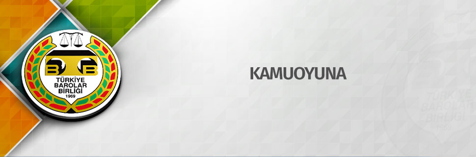 KAMUOYUNA