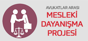 Mesleki Dayanışma