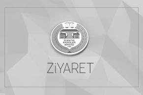 GAZETECİ SERHAN ASKER'DEN TBB'YE ZİYARET